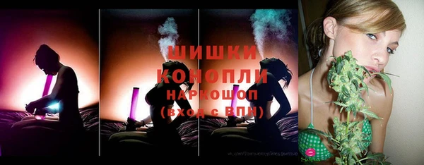 прущие грибы Покров