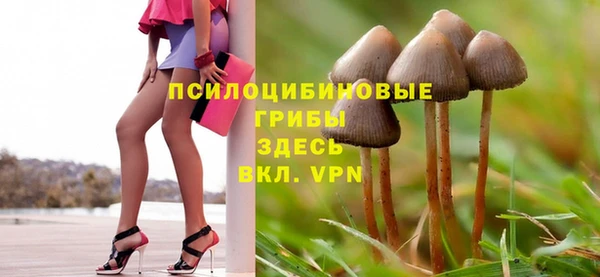 мет Покачи