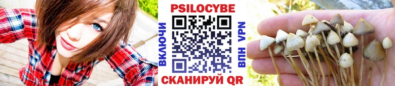 Псилоцибиновые грибы Magic Shrooms  Качканар 