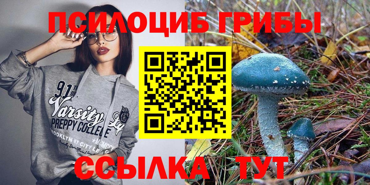 Галлюциногенные грибы Cubensis Качканар
