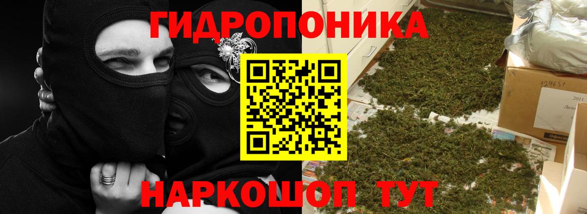 Качканар  МАРИХУАНА планчик  Шишки марихуана конопля  Марихуана ГИДРОПОН  Вход с VPN 